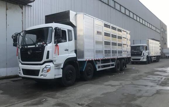 ����ǰ�ĺ�������\(y��n)ݔ܇(ch��)